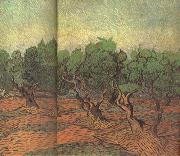 Vincent Van Gogh Olive Grove (nn04) Germany oil painting artist